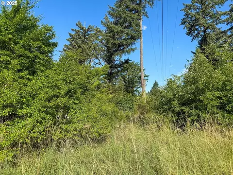 Row River Rd, Dorena, OR 97434 photo 3