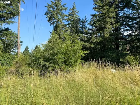Row River Rd, Dorena, OR 97434 photo 6