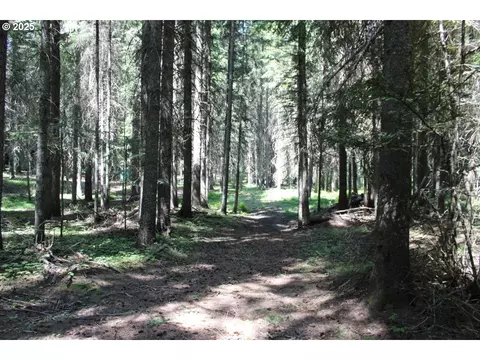 Upper Basket Mnt. Rd, Weston, OR 97886
