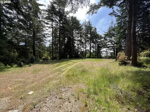 Hensley Hill Rd, Port Orford, OR 97465