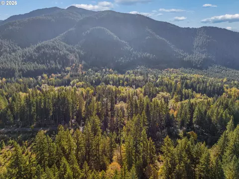 View/Area - 21820 Ez Ln, Rhododendron, OR 97049 photo 2 of 2