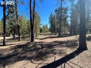 1 Gracies Rd, Gilchrist, OR 97737