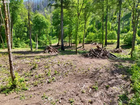 goodpasture rd, Vida, OR 97488 photo 9
