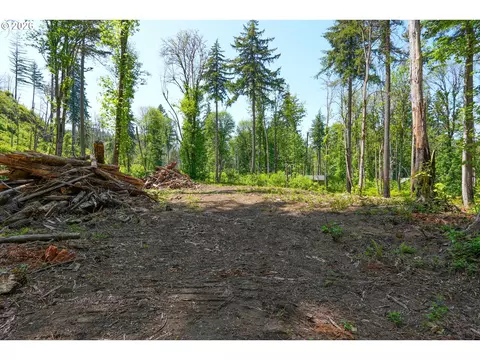 goodpasture rd, Vida, OR 97488 photo 18