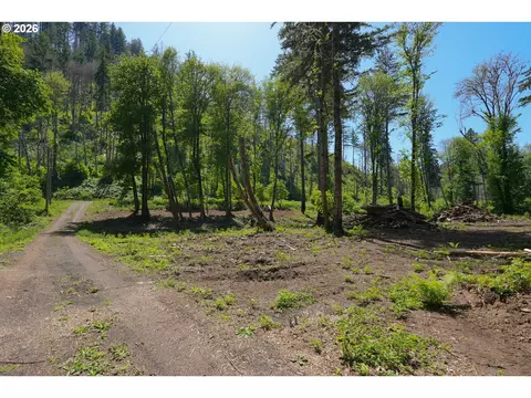 goodpasture rd, Vida, OR 97488 photo 11