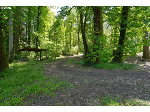 goodpasture rd, Vida, OR 97488 photo 8
