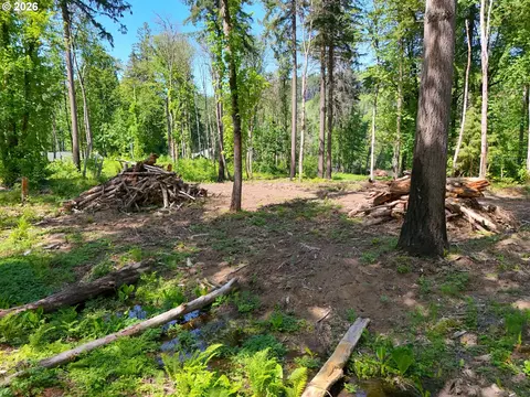 goodpasture rd, Vida, OR 97488 photo 24