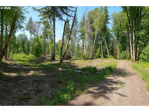 goodpasture rd, Vida, OR 97488 photo 7