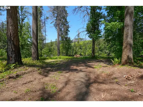 goodpasture rd, Vida, OR 97488 photo 5
