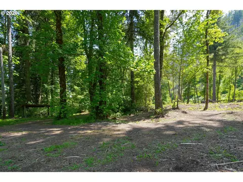 goodpasture rd, Vida, OR 97488 photo 16
