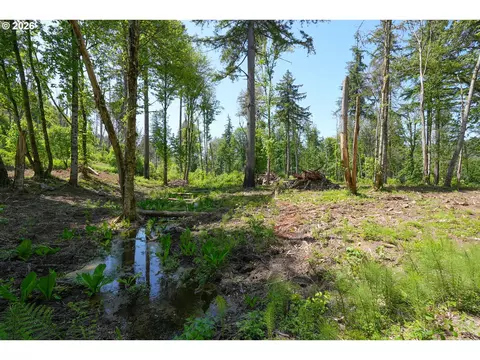 goodpasture rd, Vida, OR 97488 photo 10
