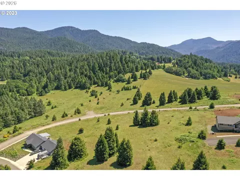 bugle loop, Oakridge, OR 97463 photo 8