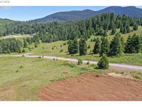 bugle loop, Oakridge, OR 97463 photo 6
