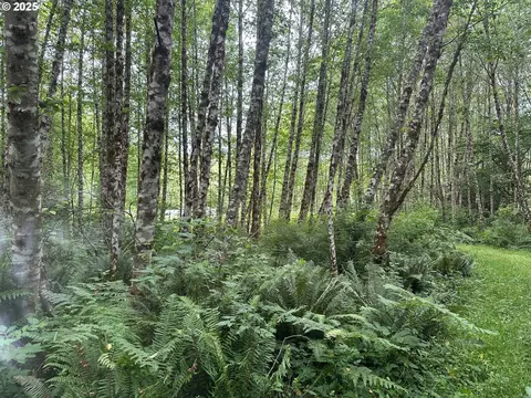 295 Oak Point Rd, Longview, WA 98632