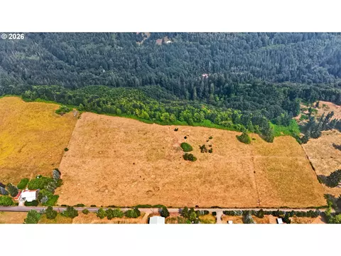 View/Area - 49009 SE Baty Rd, Sandy, OR 97055 photo 11 of 11