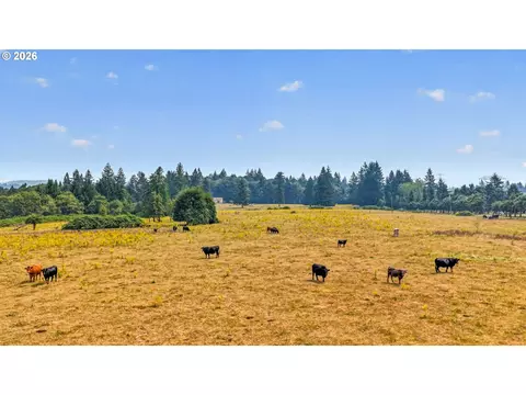 Other - 49009 SE Baty Rd, Sandy, OR 97055 photo 12 of 12