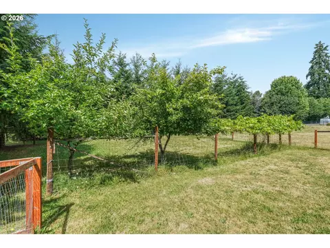Exterior - 181 Vada Rd, Carson, WA 98610 photo 7 of 11