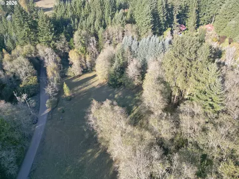 00 NE 142nd Ave, Amboy, WA 98601
