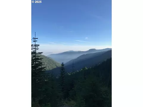 Champion Creek Rd, Cottage Grove, OR 97424