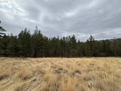 Fireline, Bickleton, WA 99322