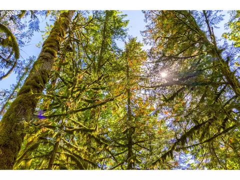 58200 E Marmot Rd, Sandy, OR 97055 photo 10