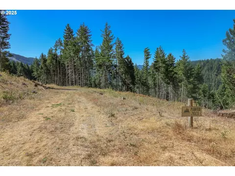 0 Osprey Dr, Umpqua, OR 97486