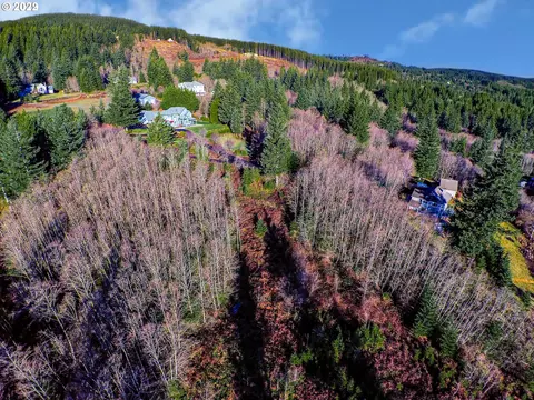 0 NE 69 St, Camas, WA 98607