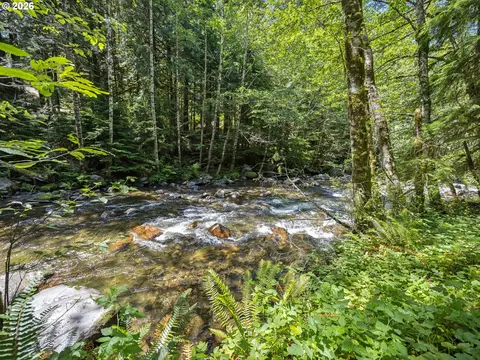 Other - 26845 E Rolling Riffle Ln, Rhododendron, OR 97049 photo 10 of 11