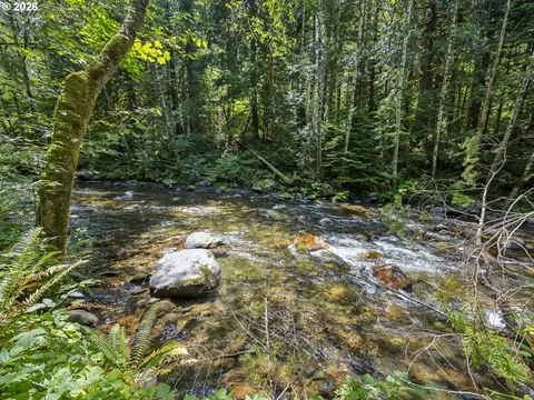 Other - 26845 E Rolling Riffle Ln, Rhododendron, OR 97049 photo 1 of 11
