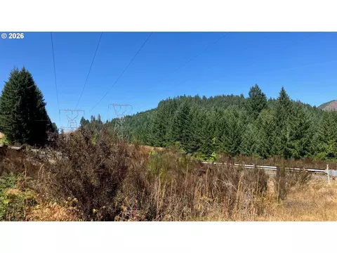 Marcola Rd S, Marcola, OR 97454 photo 4