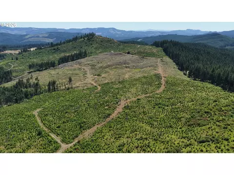 Marcola Rd S, Marcola, OR 97454 photo 3