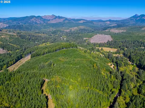 Hamlet Road, Seaside, OR 97138 photo 11
