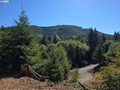 Hamlet Road, Seaside, OR 97138 photo 5