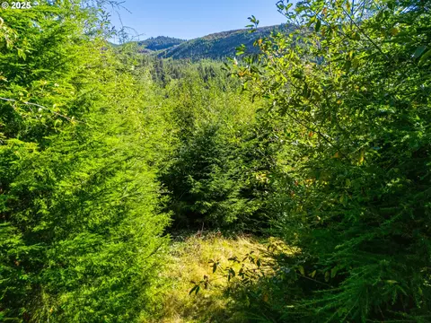 Hamlet Road, Seaside, OR 97138 photo 14
