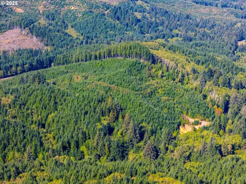 Hamlet Road, Seaside, OR 97138 photo 9