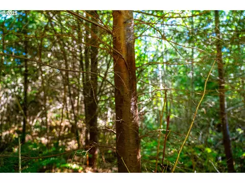 Hamlet Road, Seaside, OR 97138 photo 6