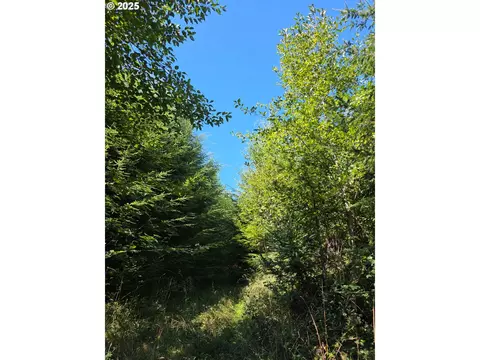 Hamlet Road, Seaside, OR 97138 photo 3