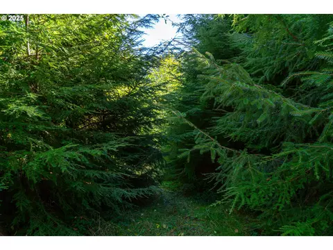 Hamlet Road, Seaside, OR 97138 photo 7