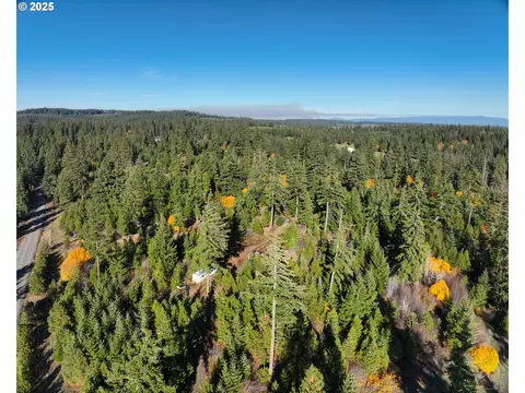 25 Remington Rd, Lyle, WA 98635