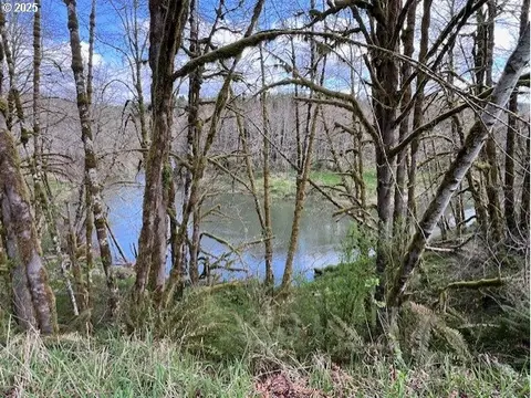 Northrup Creek Rd, Birkenfeld, OR 97016