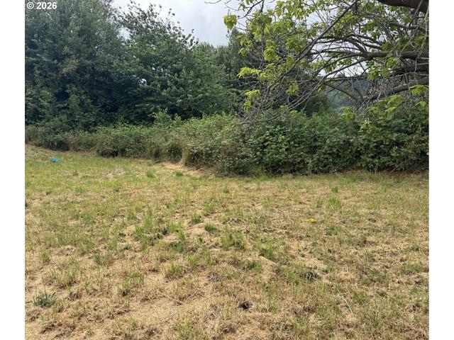 00 A St, Myrtle Point, OR 97458