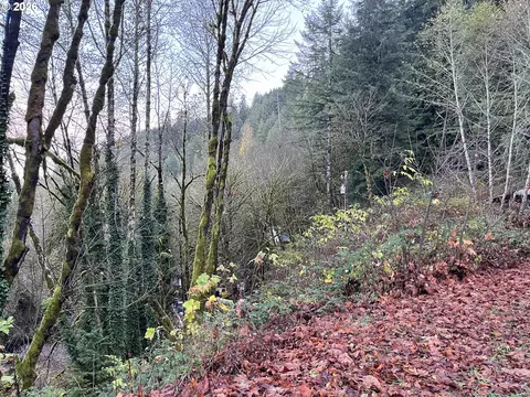 11211 Highway 36, Mapleton, OR 97453 photo 5