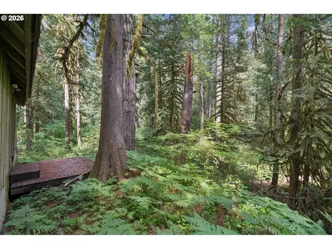 28320 E Road 20, Rhododendron, OR 97049 photo 33