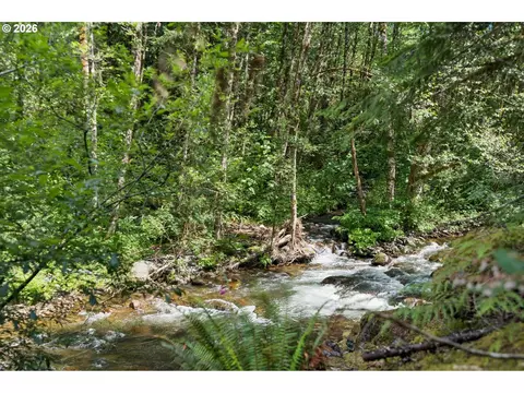 28320 E Road 20, Rhododendron, OR 97049 photo 38