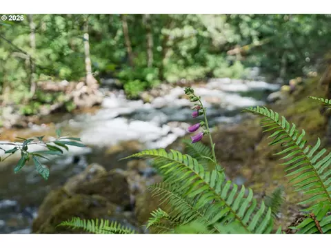 28320 E Road 20, Rhododendron, OR 97049 photo 37