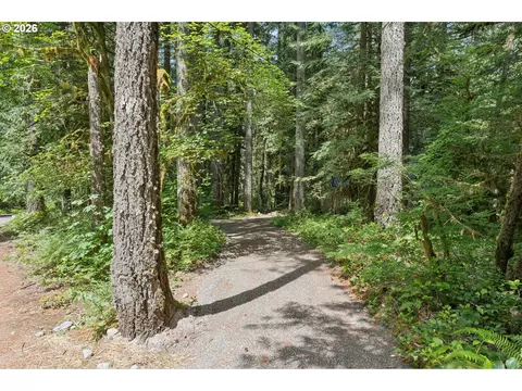 28320 E Road 20, Rhododendron, OR 97049 photo 8