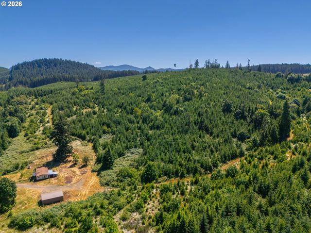 29852 Ingram Rd, Lebanon, OR 97355