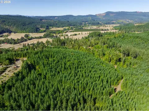 Mccauley Ridge Dr, Springfield, OR 97478 photo 7