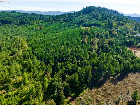 Mccauley Ridge Dr, Springfield, OR 97478 photo 3