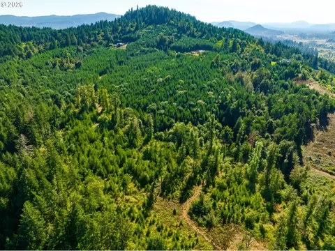 Mccauley Ridge Dr, Springfield, OR 97478 photo 14